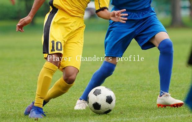 Player Chander's profile